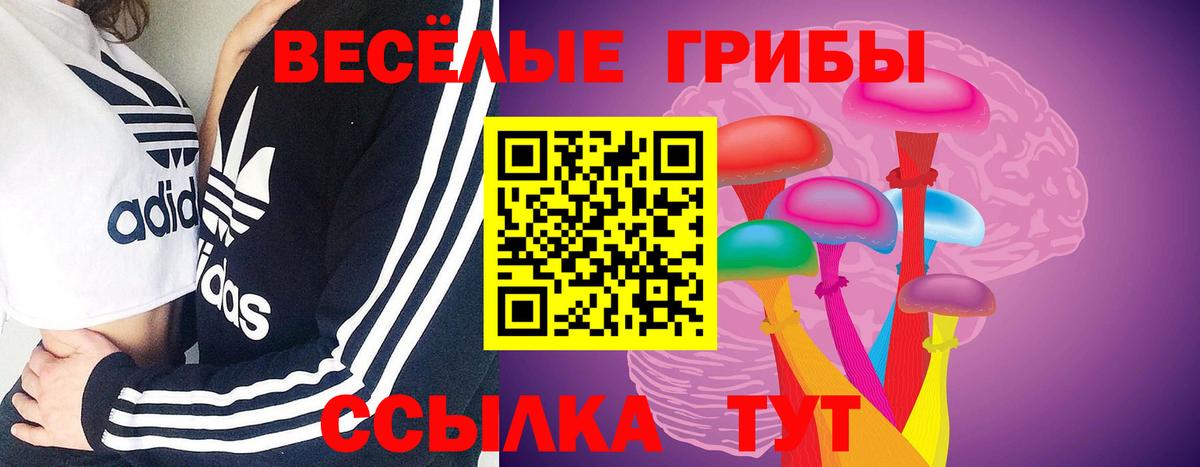 Галлюциногенные грибы прущие грибы Дубна